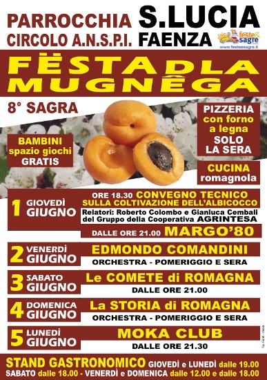 Locandina della festa